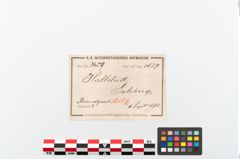 Etikett zu Bronzephalere (NHMW-PRAE-003459)
